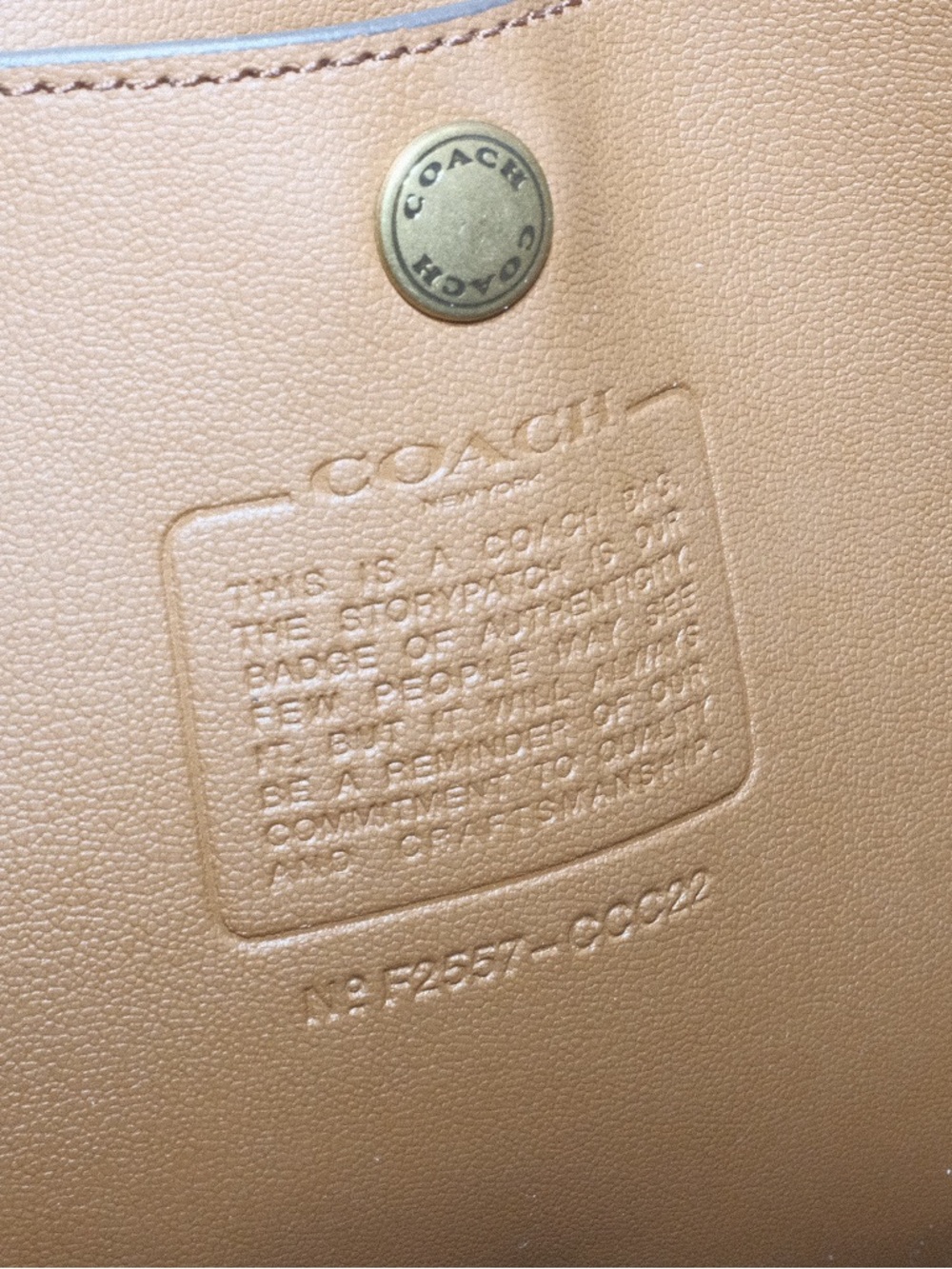 Coach Large Brown Suede Brooklyn Fringe Hobo Bag - Picture 6 of 6